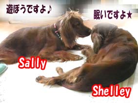 sally&shelly
