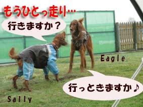 eagle＆sally