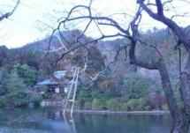 2008-01-29 23:24:51