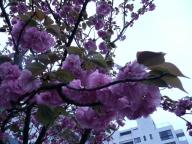 2008-05-14 19:49:01