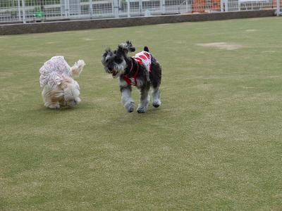 P1000090.JPG