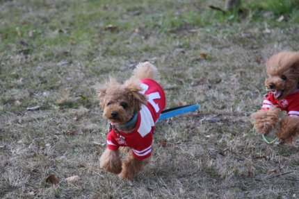 フレームアウト