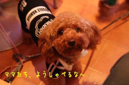 モコちゃん、カフェで