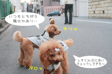 におい・・