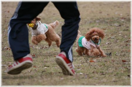 にいにと晴ぴな