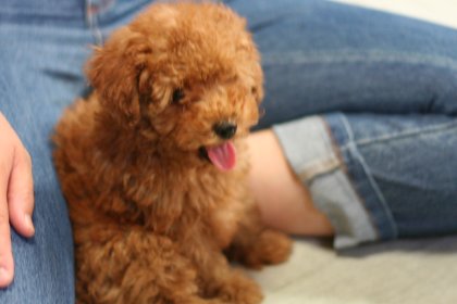 ひなたとjunちゃん