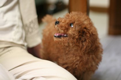 ひなたとおかあさん