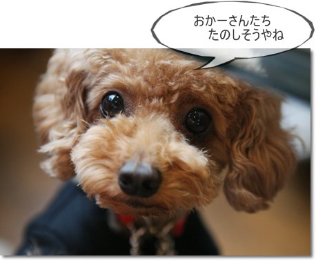 たのしそうやね