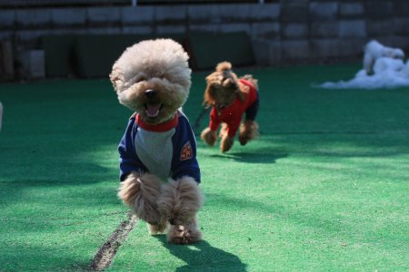 やっほー！くいなちゃん