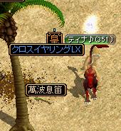 ８日目ドロップ３.JPG
