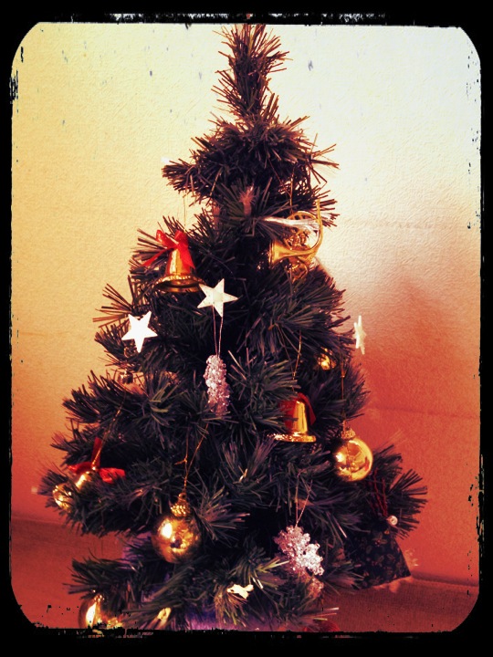 iPhone4sから 037.jpg