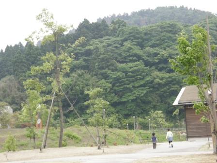 公園♪