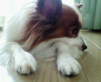 画像 910.jpg