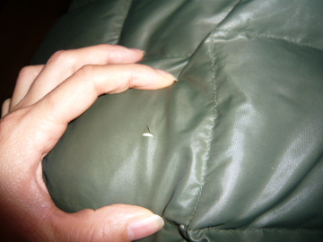 090106_5.JPG
