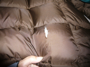 090106_7.JPG