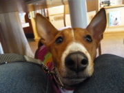 090125_11a.JPG