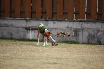 1115_8.JPG