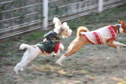 090102_8b.JPG