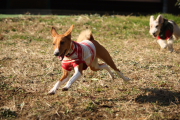 090102_8c.JPG