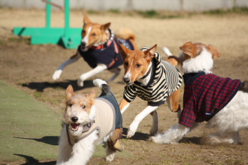 090117_1.JPG