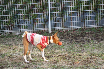 090102_16.JPG