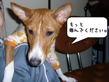 090126_2.jpg