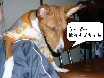 090126_7.jpg