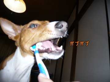 090122_2.JPG