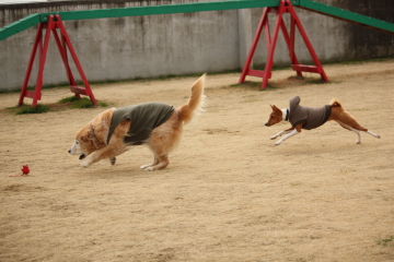 090128_5.JPG