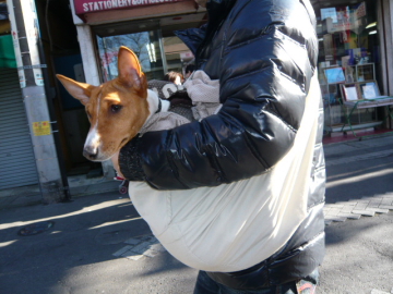 090103_8.JPG