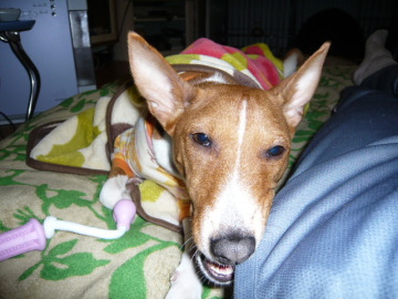 090126_5.jpg