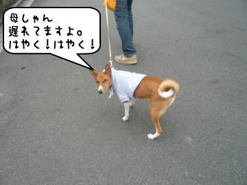 1109_7.jpg
