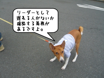 1109_8.jpg