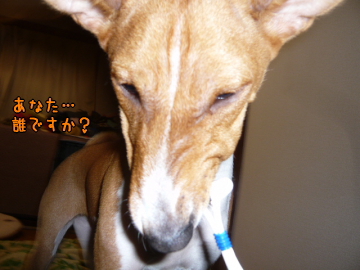 090122_3.JPG
