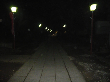 1107_3.jpg