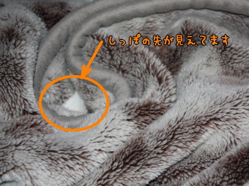 1112_4_2.jpg