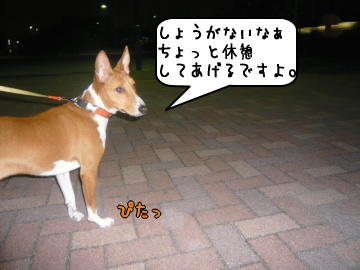 1107_9.jpg