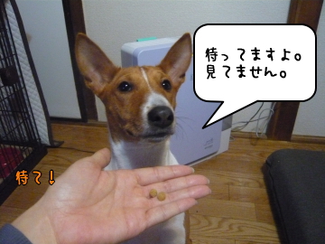 1128_9.JPG