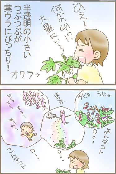 オクラの粒1.jpg