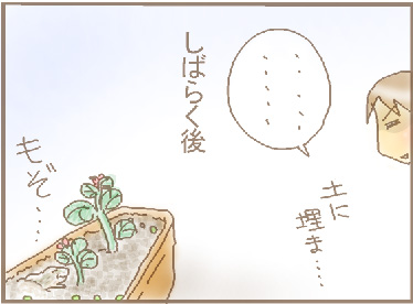 かえる登場2.jpg