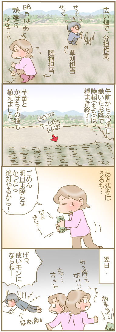 陸稲種まき1.jpg