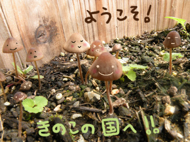 きのこの国P.jpg