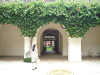 P1000371.JPG