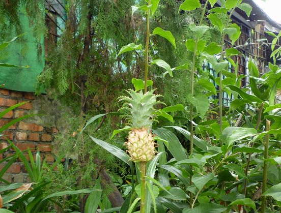 ちっっちゃい！！