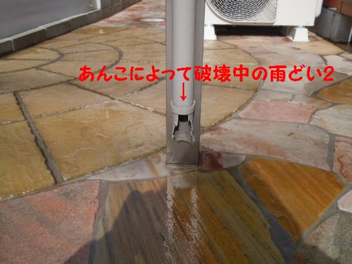 雨どい1.jpg