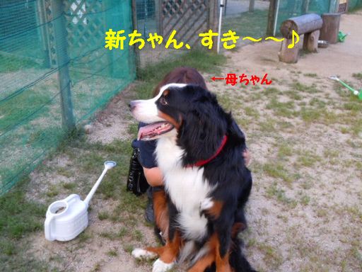 新ちゃん1.jpg