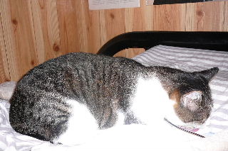P1010340-ss.JPG