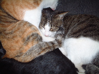 DSCF0757-ss.JPG