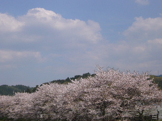 P1030286-ss.JPG