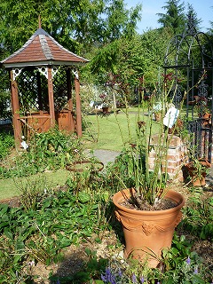 P1100329ss.jpg